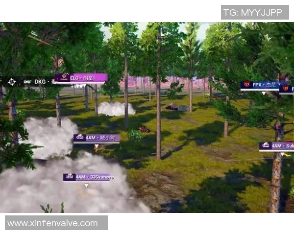 2026电竞新闻和平精英焦点FPX团队心理素质分析与提升策略探讨